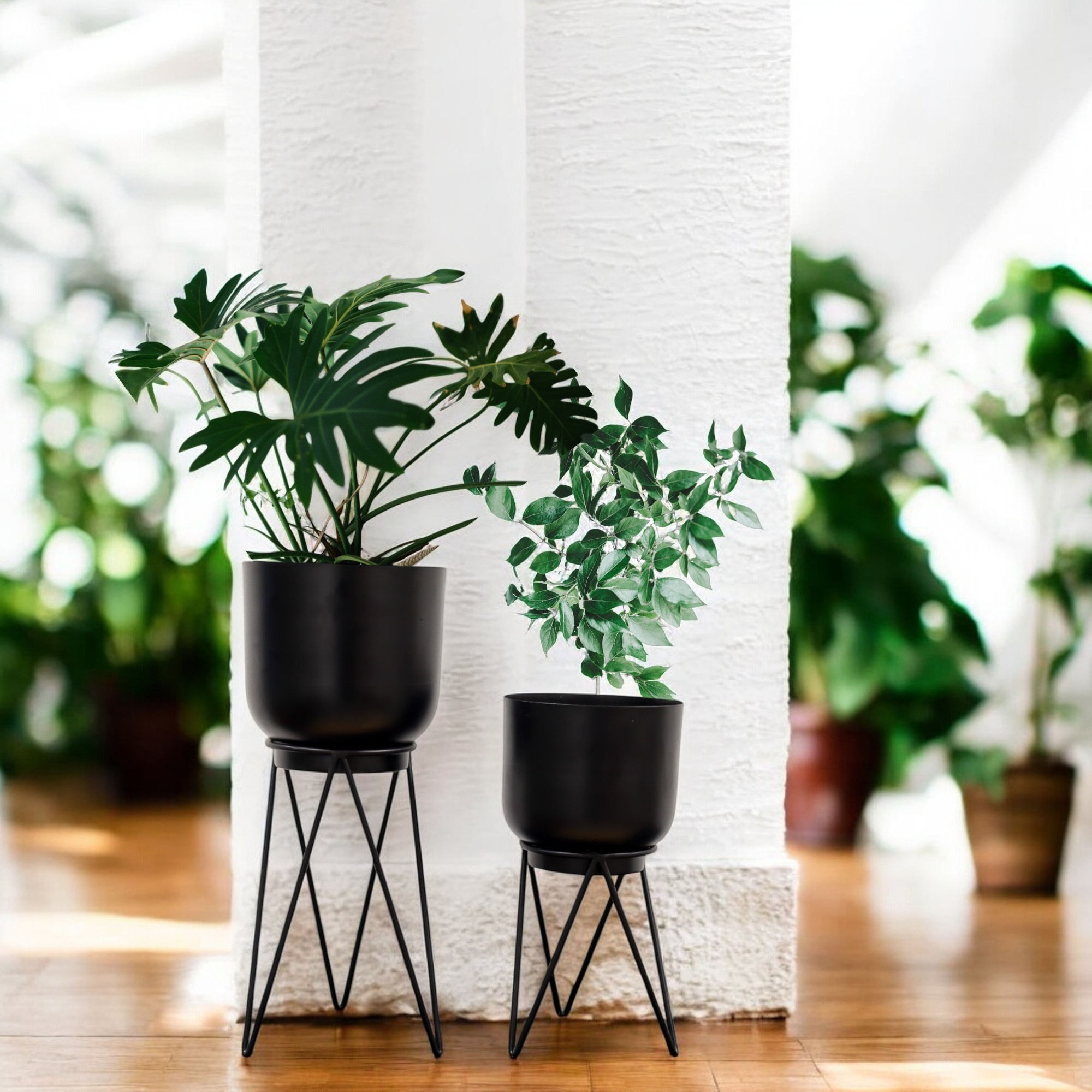 Premium Black Planter Pots With Stand