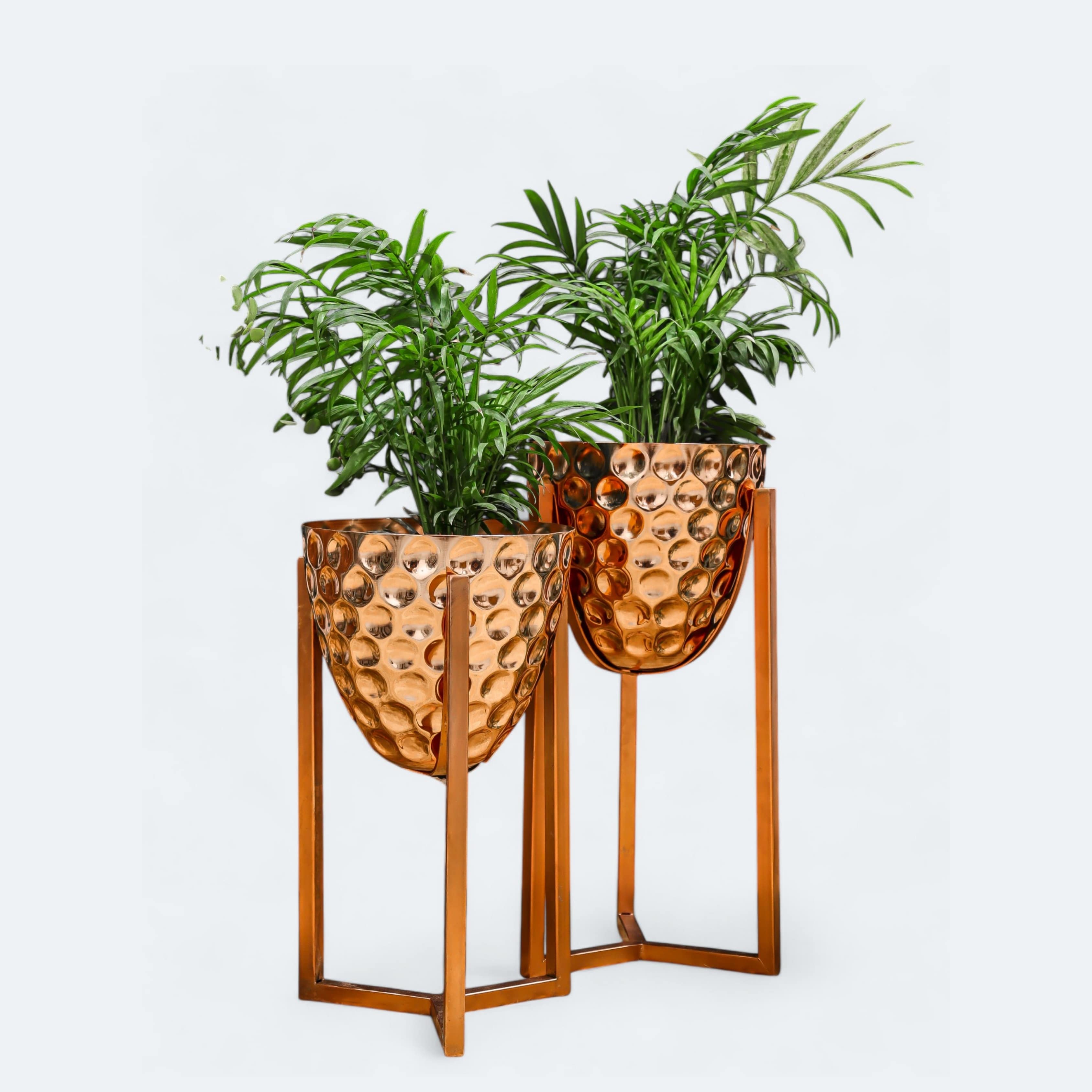 Planters