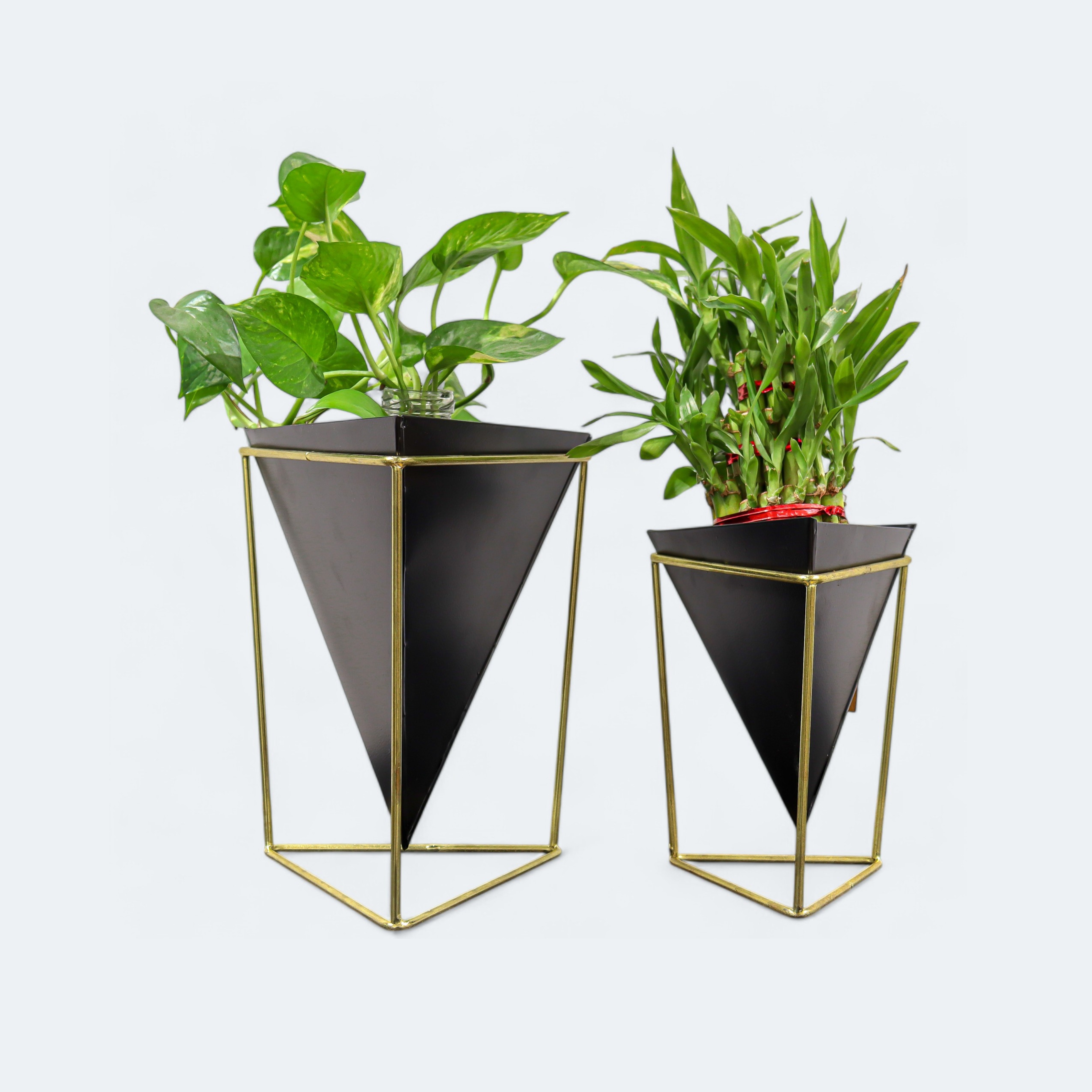 Home Gardenia Planter with Stand