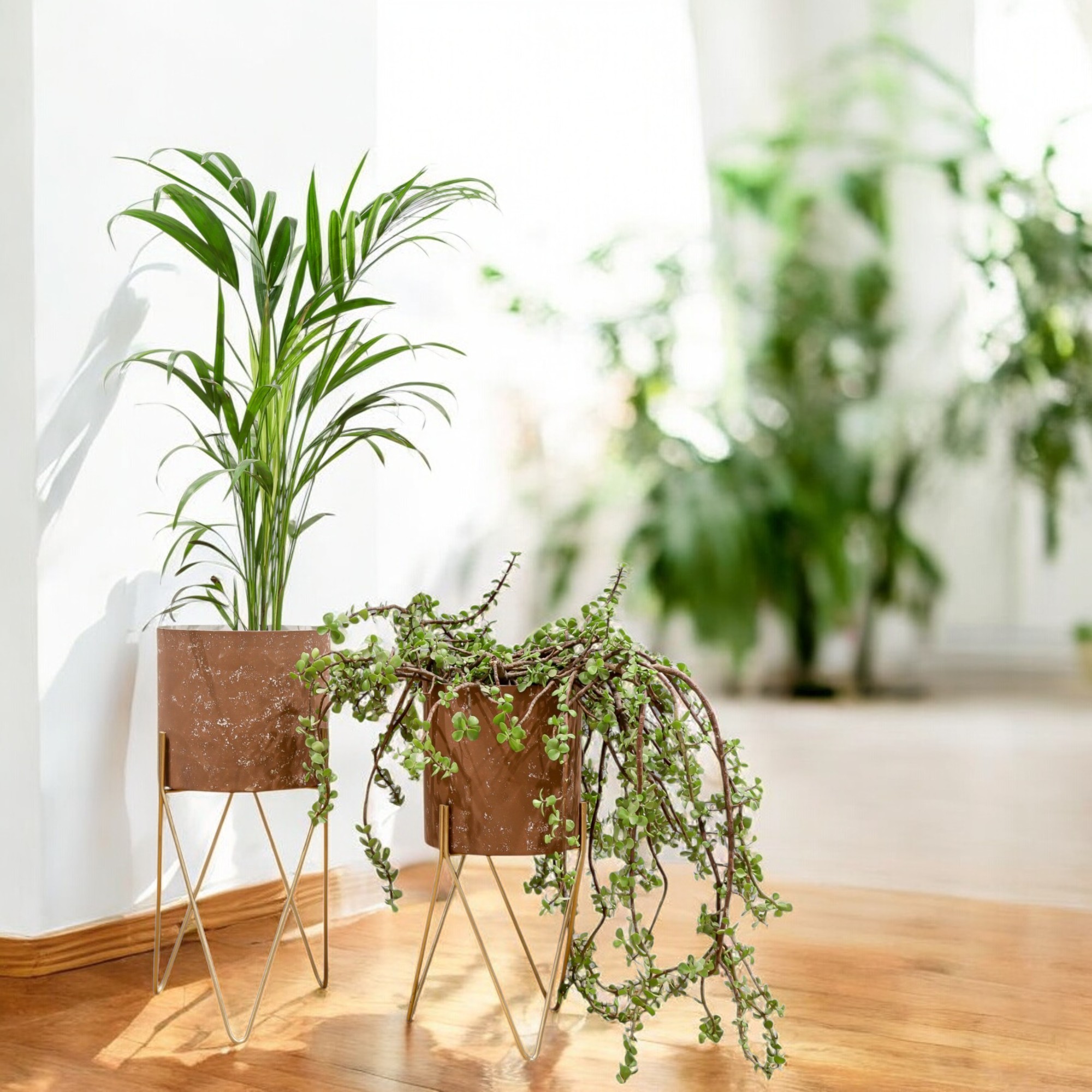 Beautiful Medium Size Planter With Stand