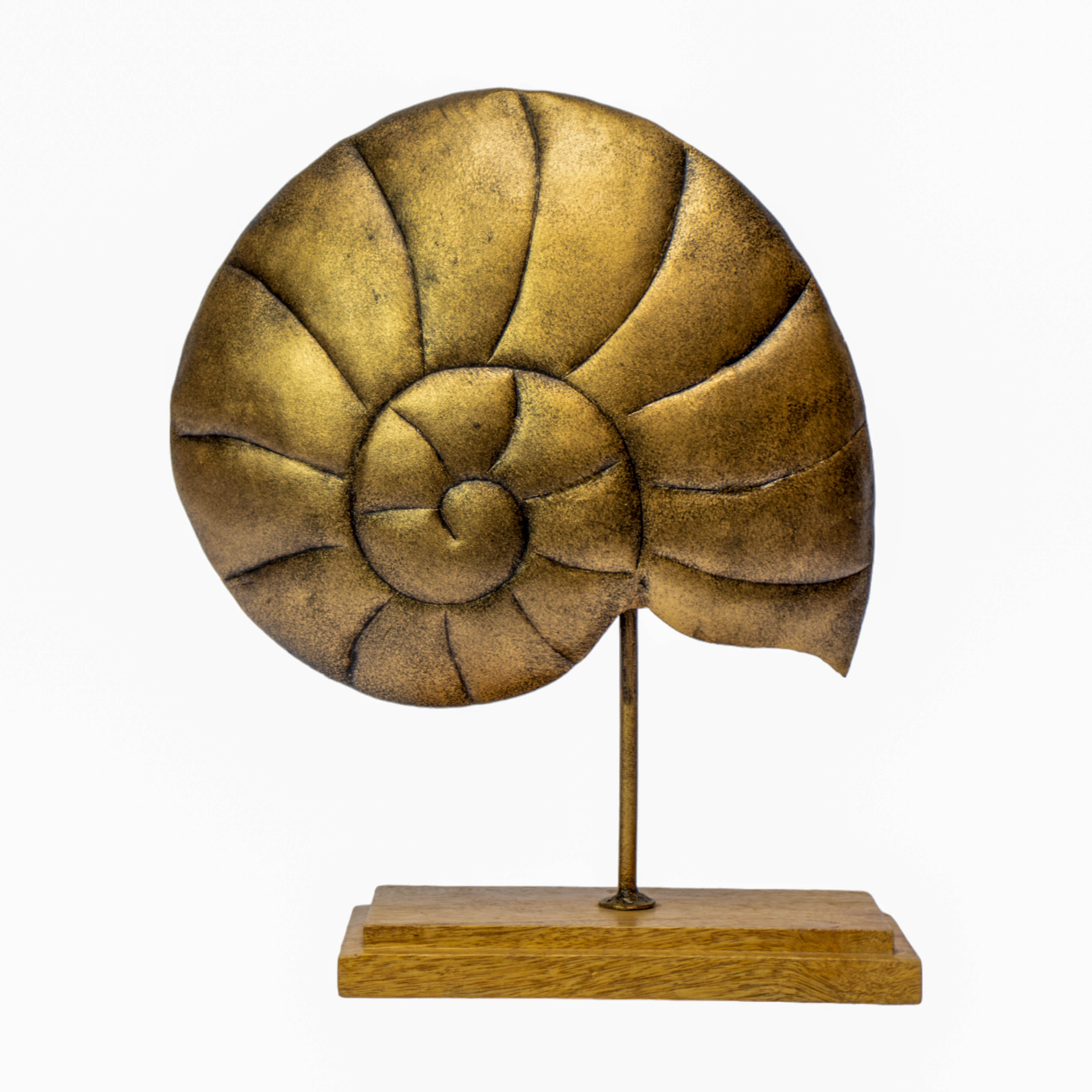 Metal Nautilus Shell