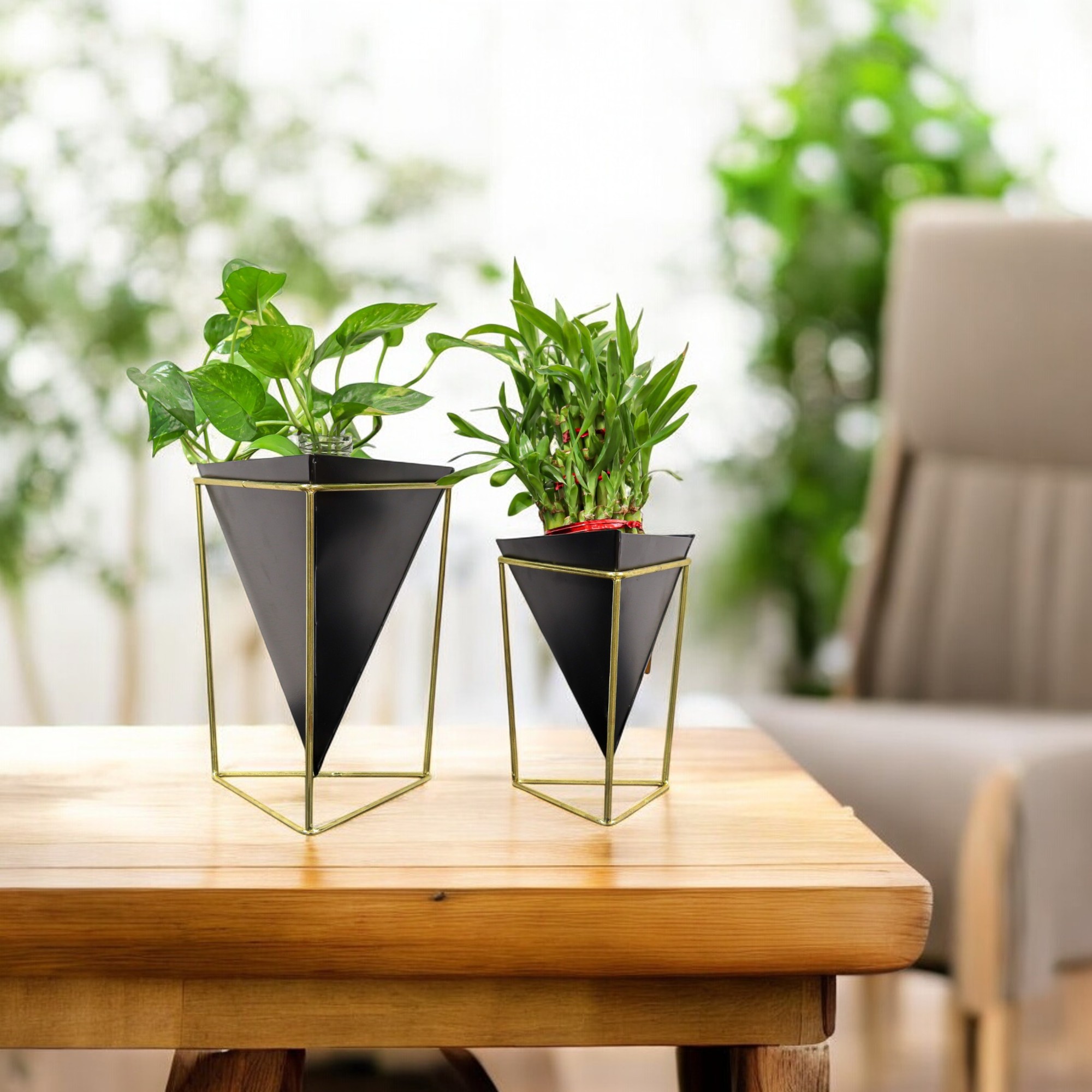 Combo Premium Home Gardenia Planter with Stand