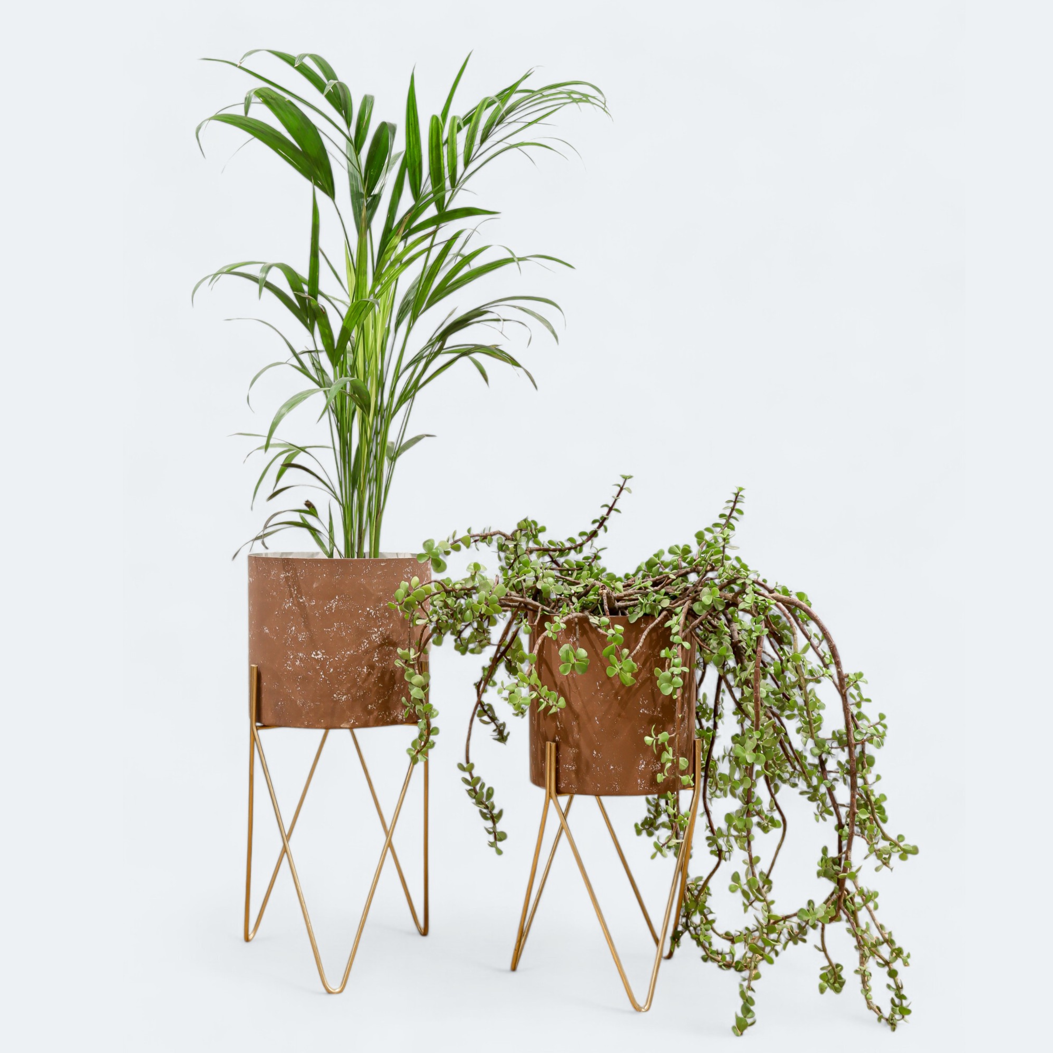 Combo Brown Planter With Stand