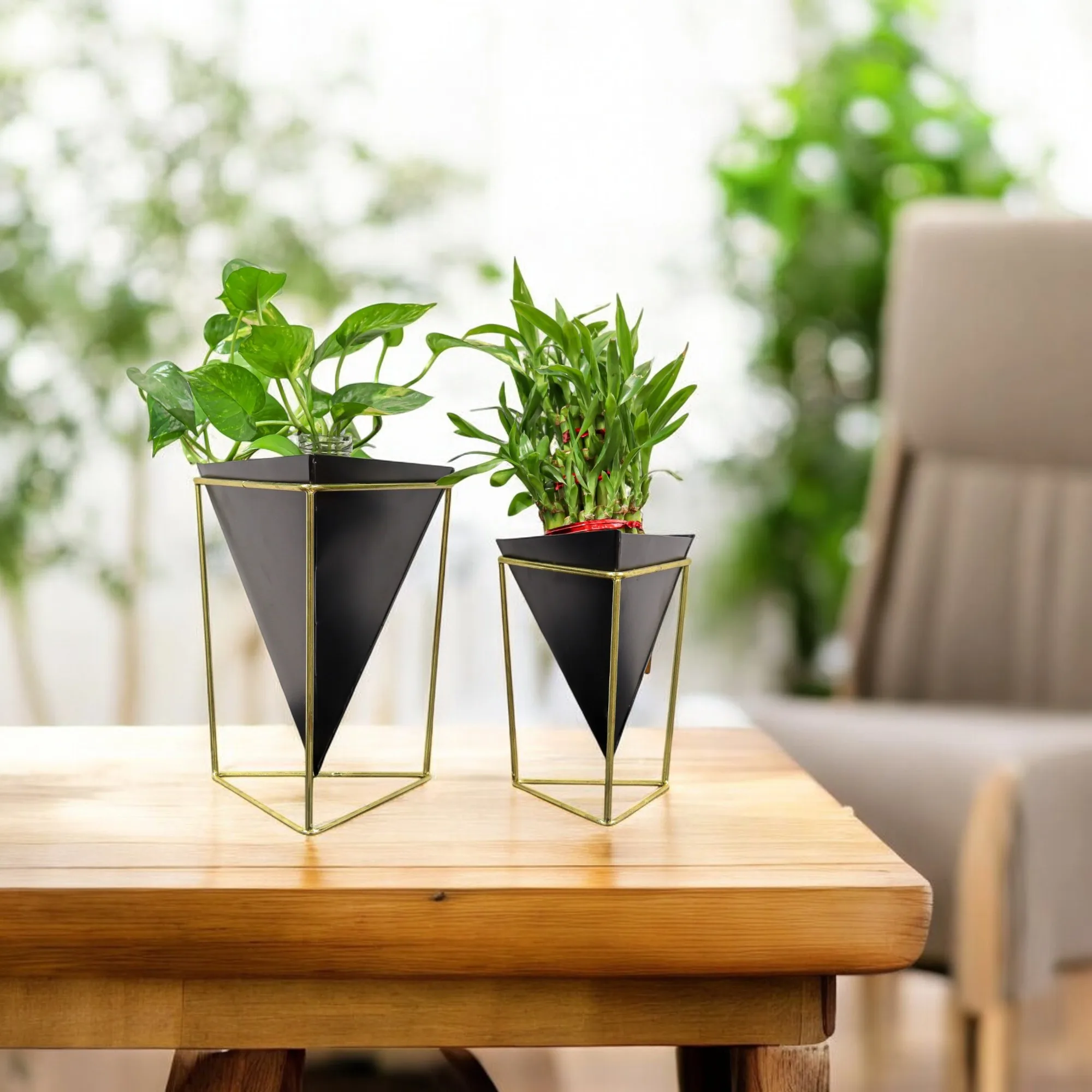 Planters
