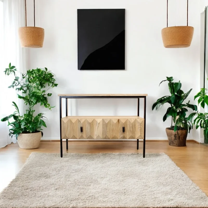 FCT0008 tv cabinet for Decor (1)