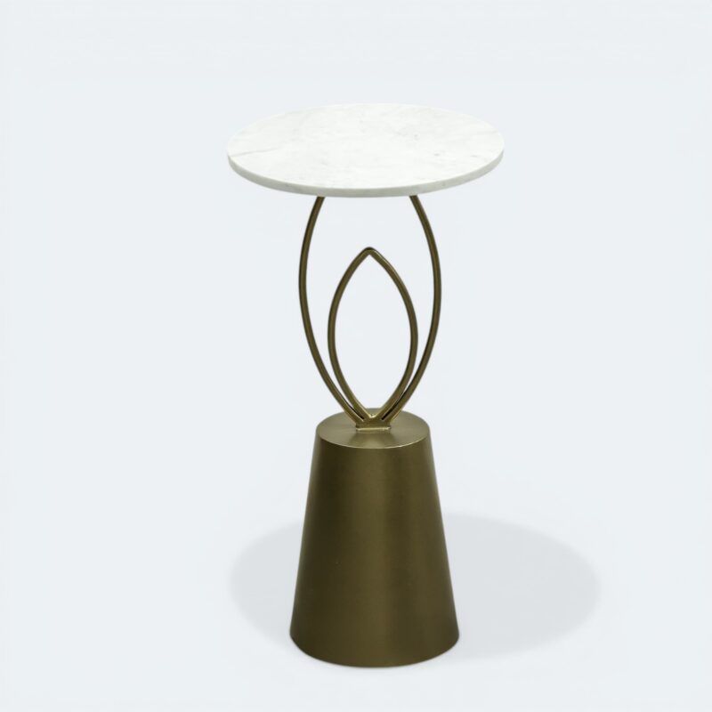 FST0023 golden metal side table (1)